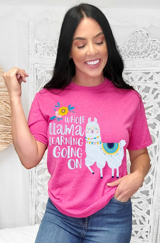 Whole Llama Learning Teacher T-Shirt